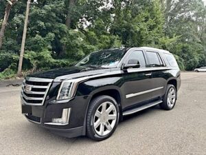 2019 Cadillac Escalade Luxury photo 1