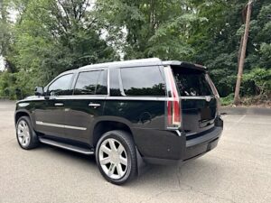 2019 Cadillac Escalade Luxury photo 2