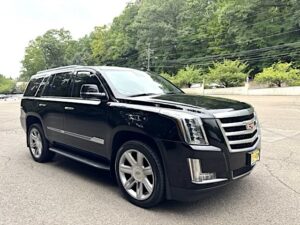 2019 Cadillac Escalade Luxury photo 4
